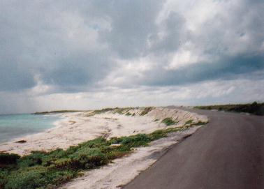 http://www.geoffwhite.ws/images6/poc-chenrio.jpg