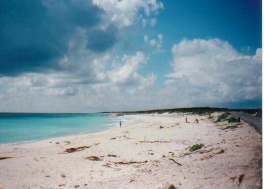 http://www.geoffwhite.ws/images6/poc-playabonita.jpg