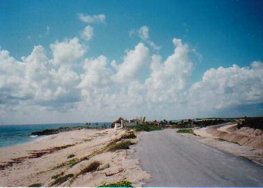 http://www.geoffwhite.ws/images6/poc-puntamorena.jpg